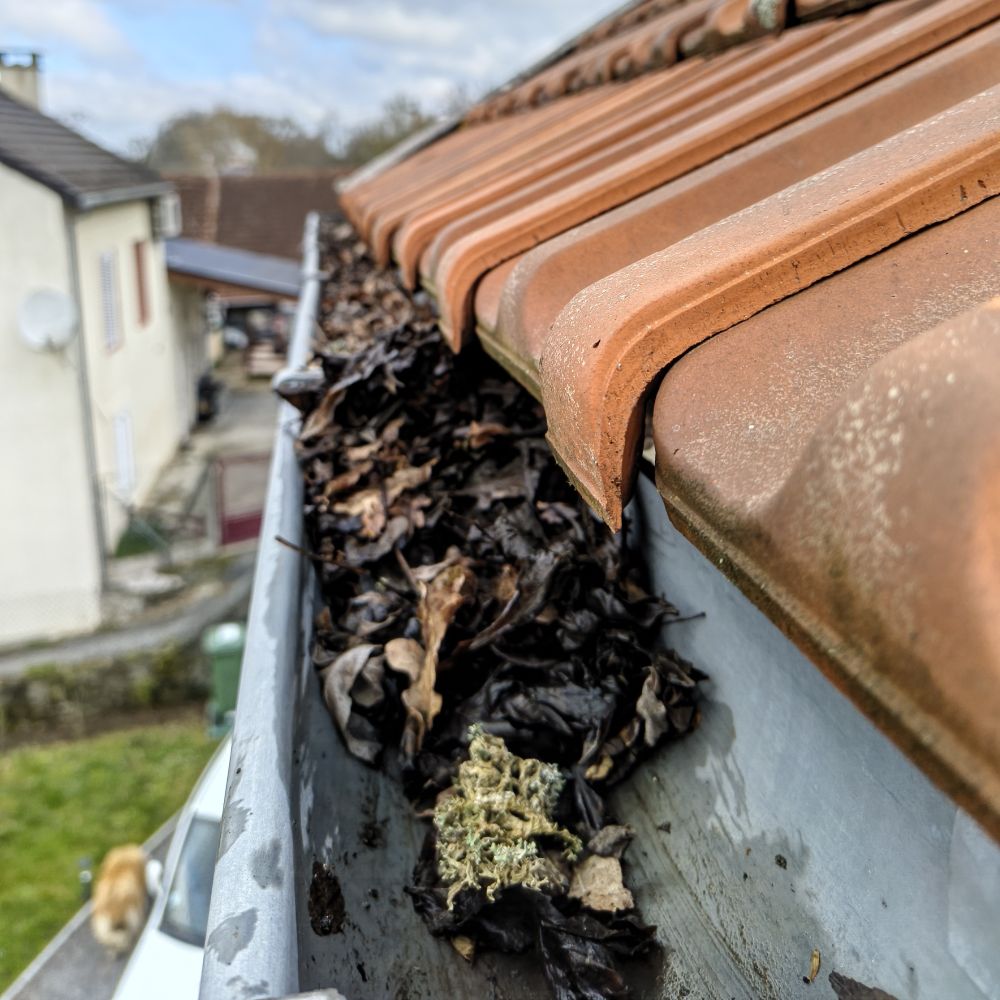 gutters before